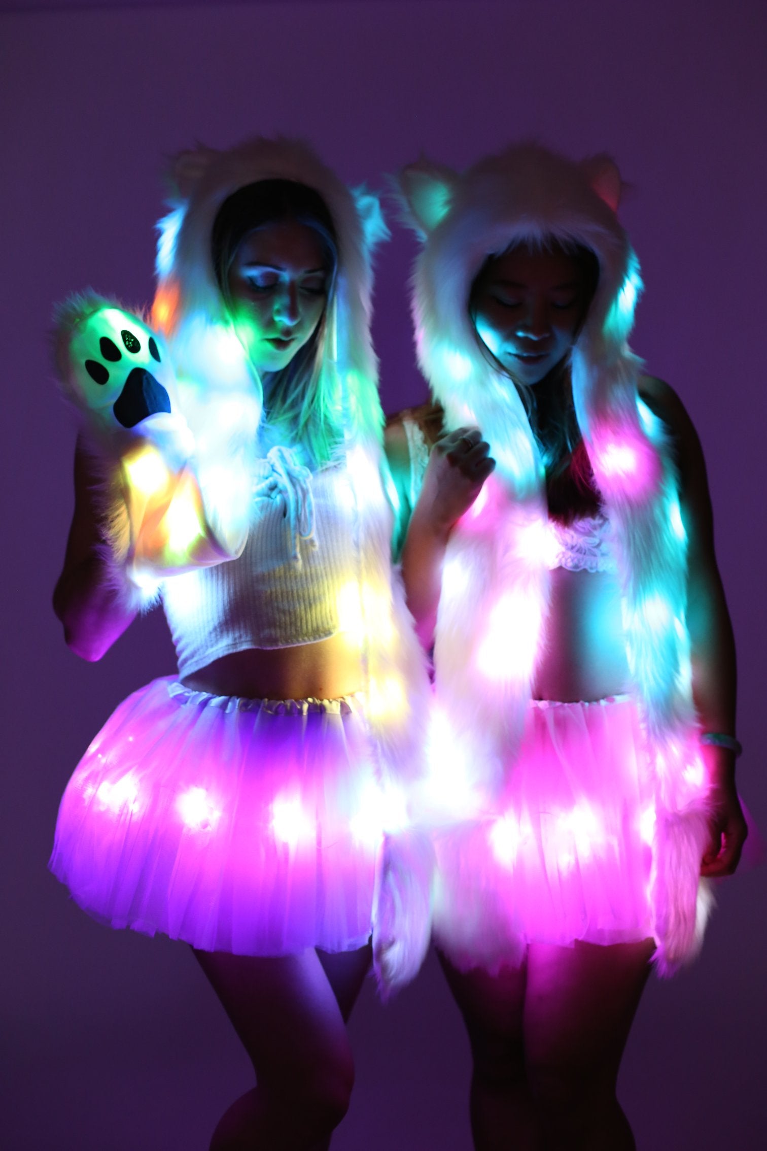 LED Hood