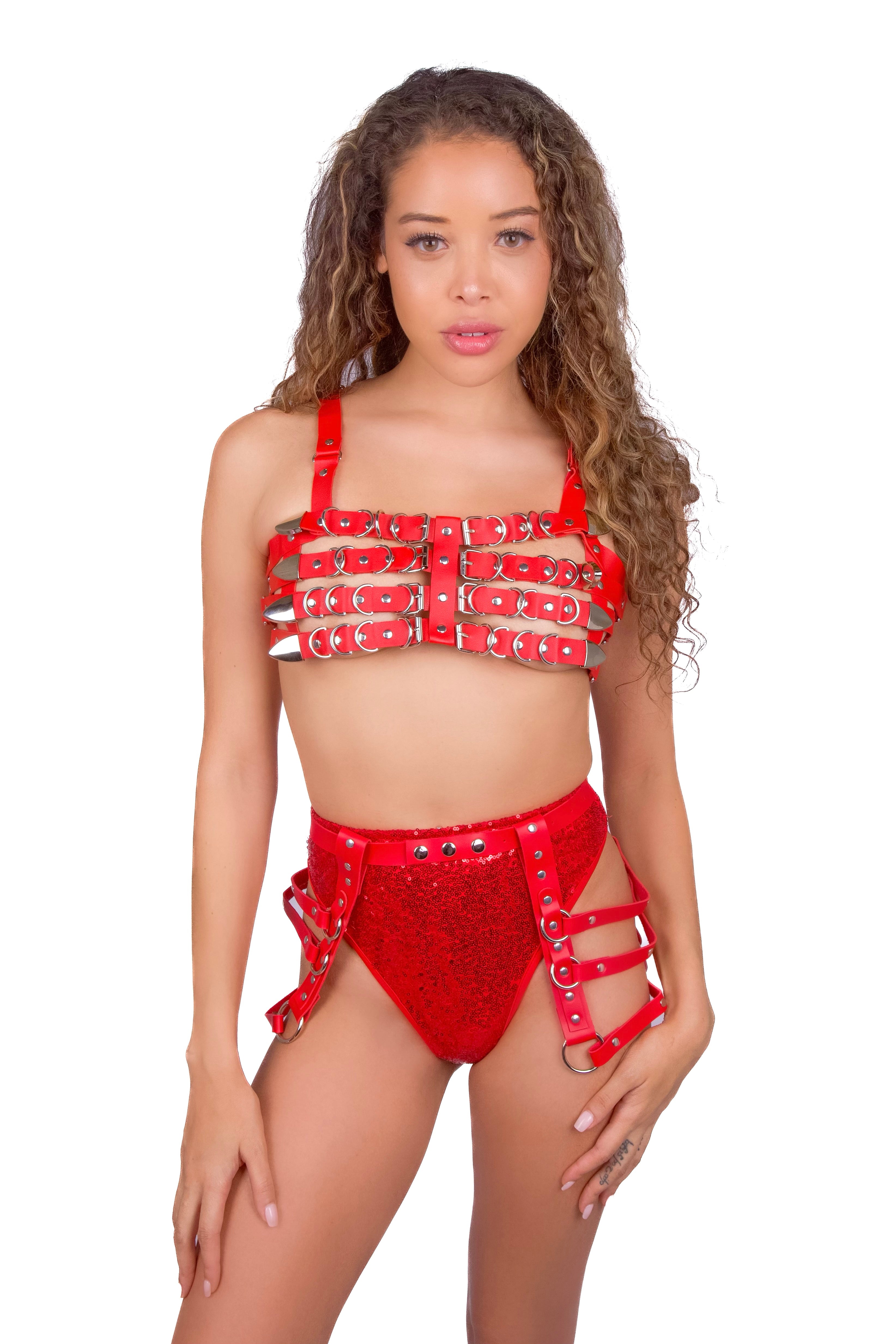 Cherry Ride Vegan Leather Harness Set