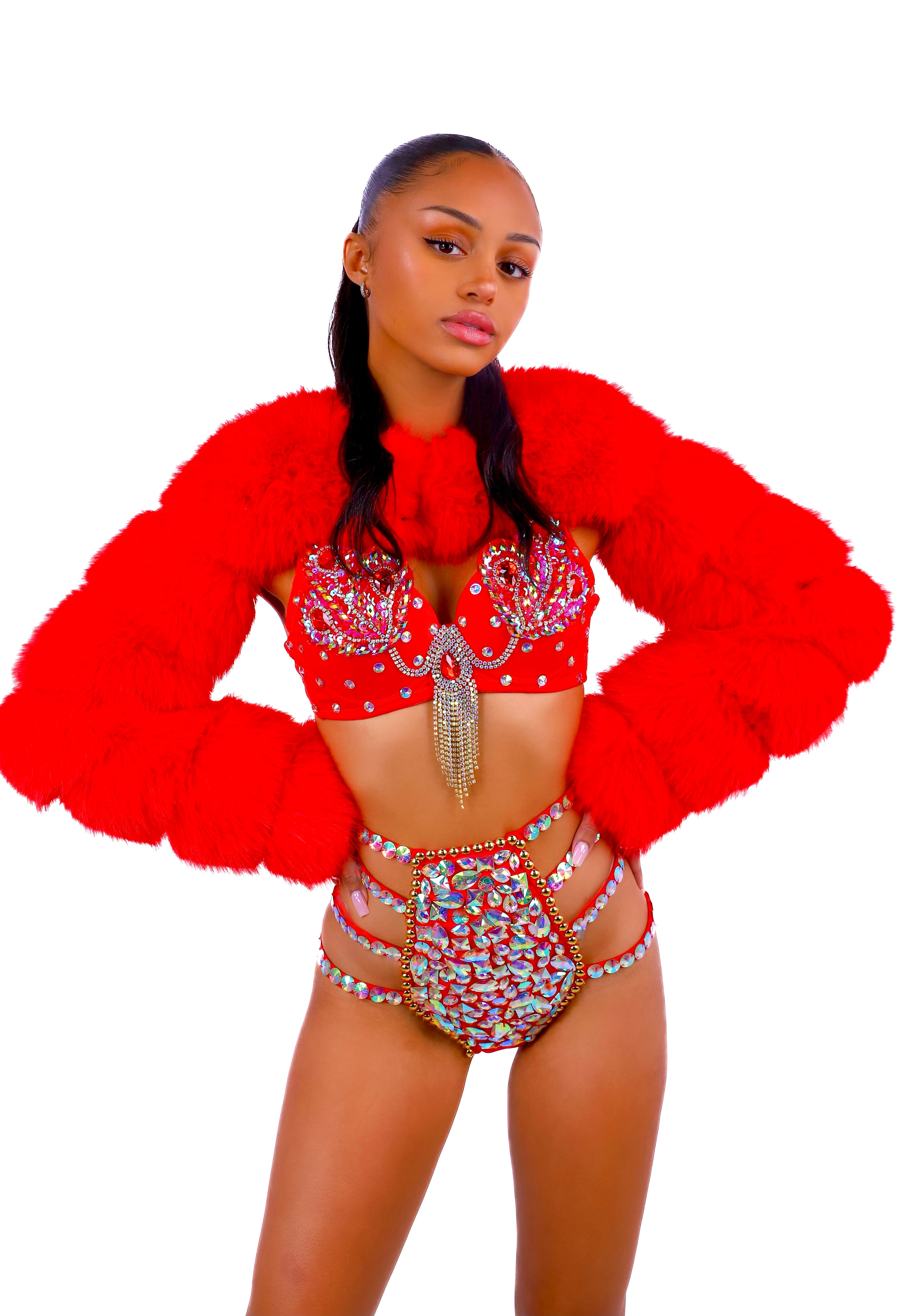 FULL OUTFIT- Fuzzy Red Swan (3 pcs)