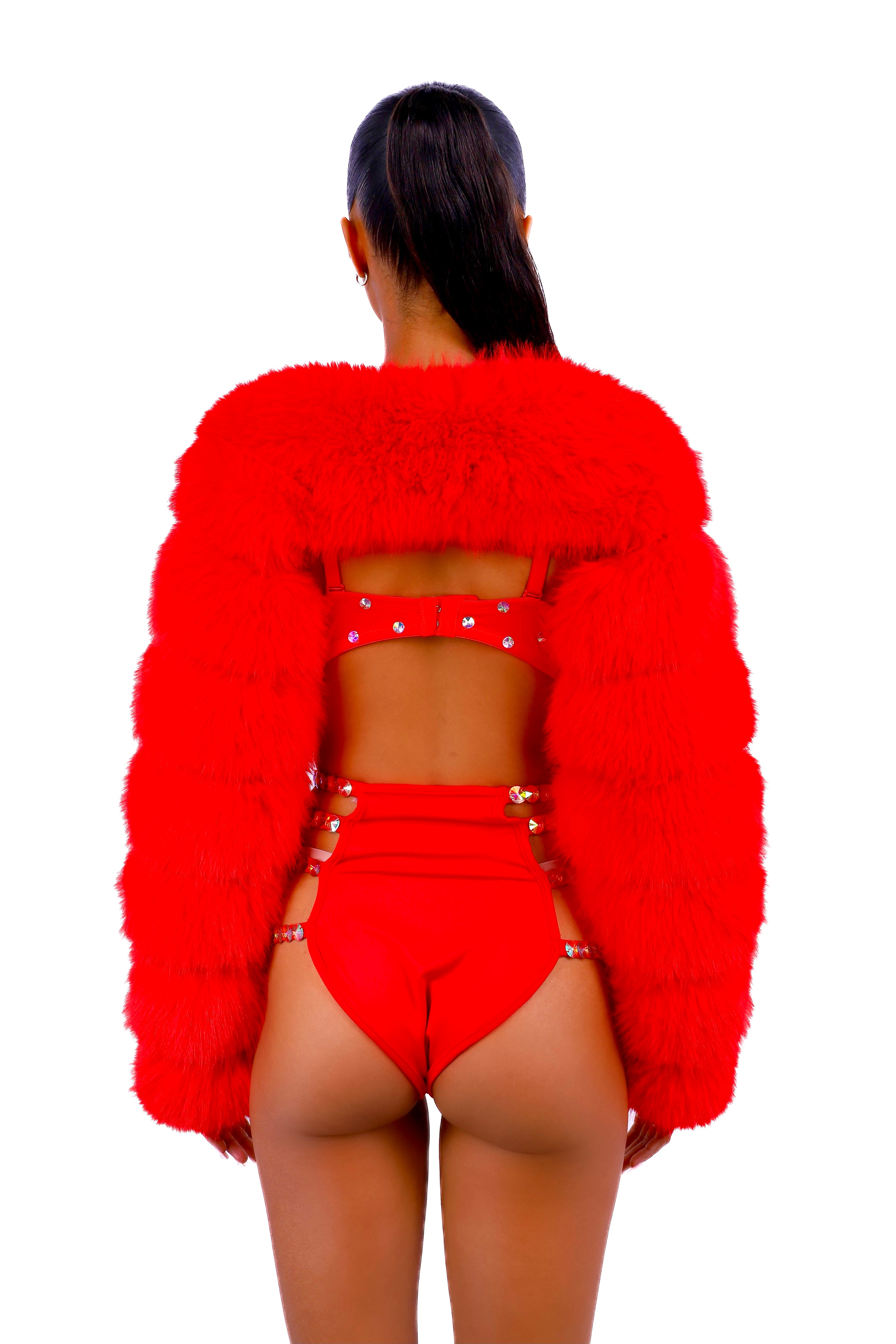 FULL OUTFIT- Fuzzy Red Swan (3 pcs)