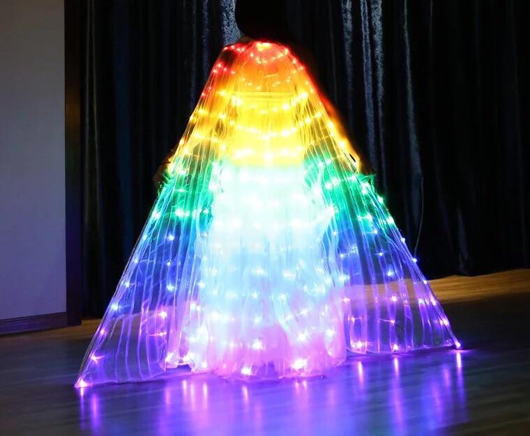 Handmade Rainbow LED Butterfly Wings (300 Lights, Batteries Not Included)