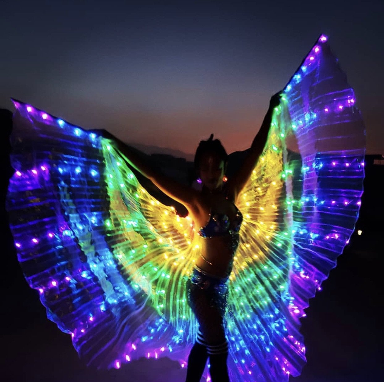 Handmade Rainbow LED Butterfly Wings (300 Lights, Batteries Not Included)